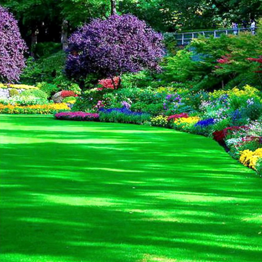 beautiful flower garden